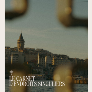 LE CARNET D'ENDROITS SINGULIERS